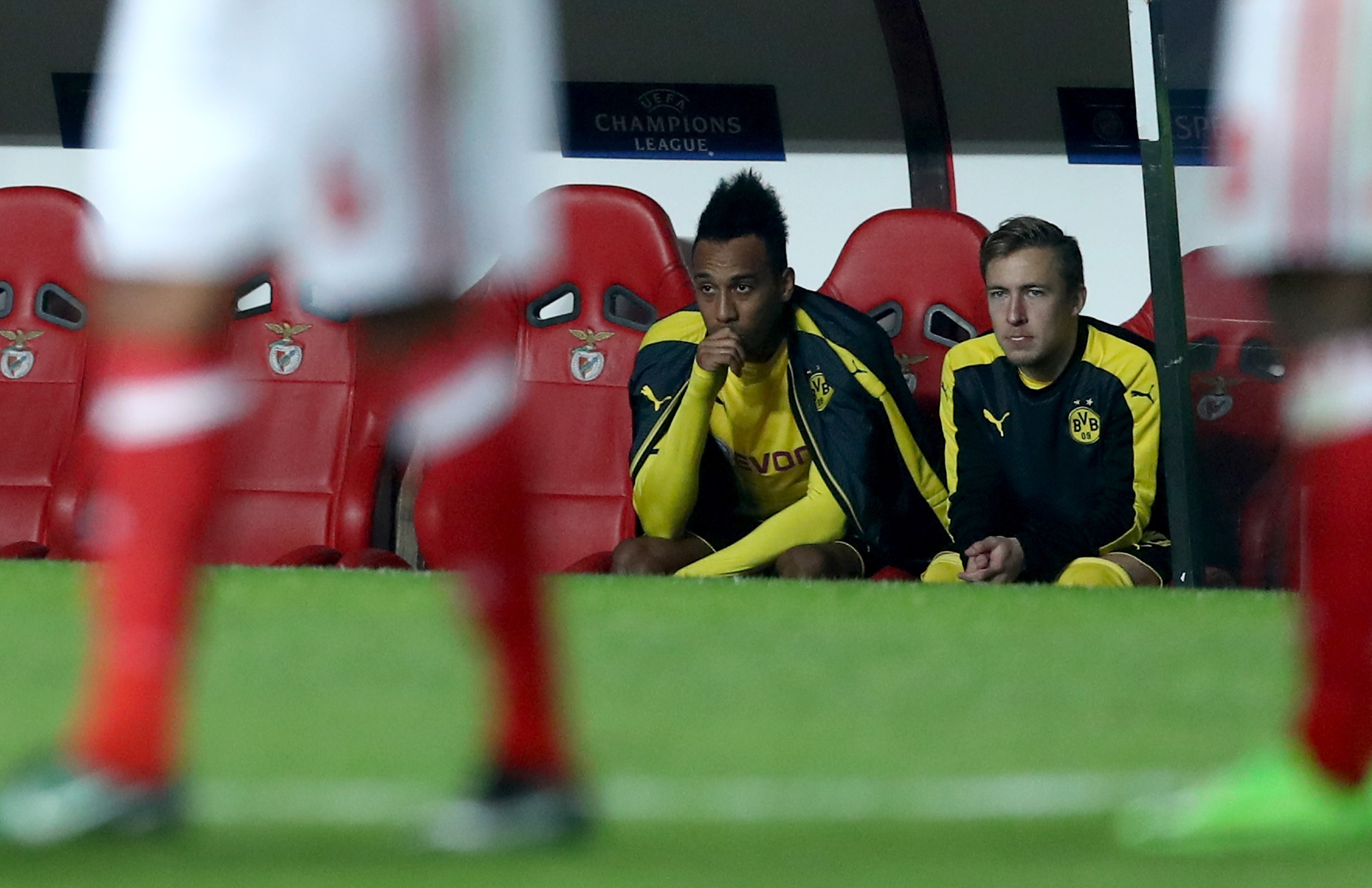 Tran Benfica vs Dortmund anh 9