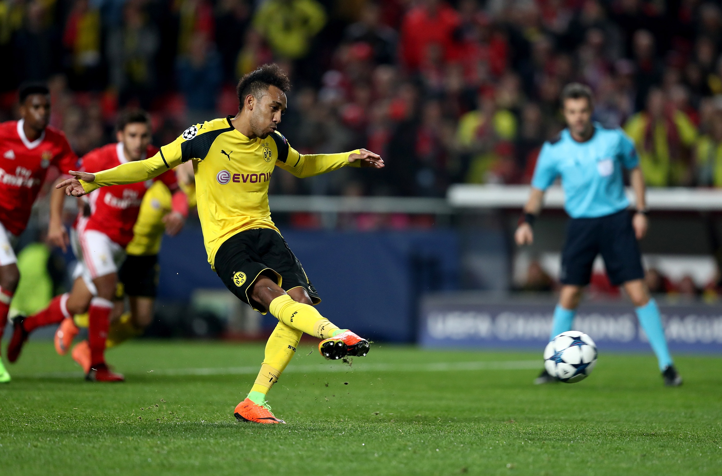 Tran Benfica vs Dortmund anh 6