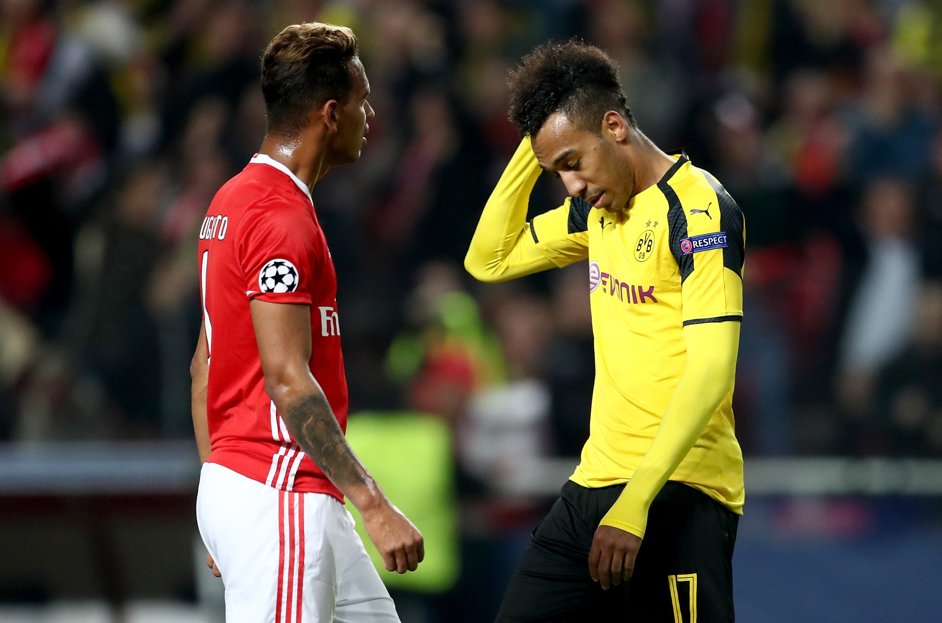 Tran Benfica vs Dortmund anh 2