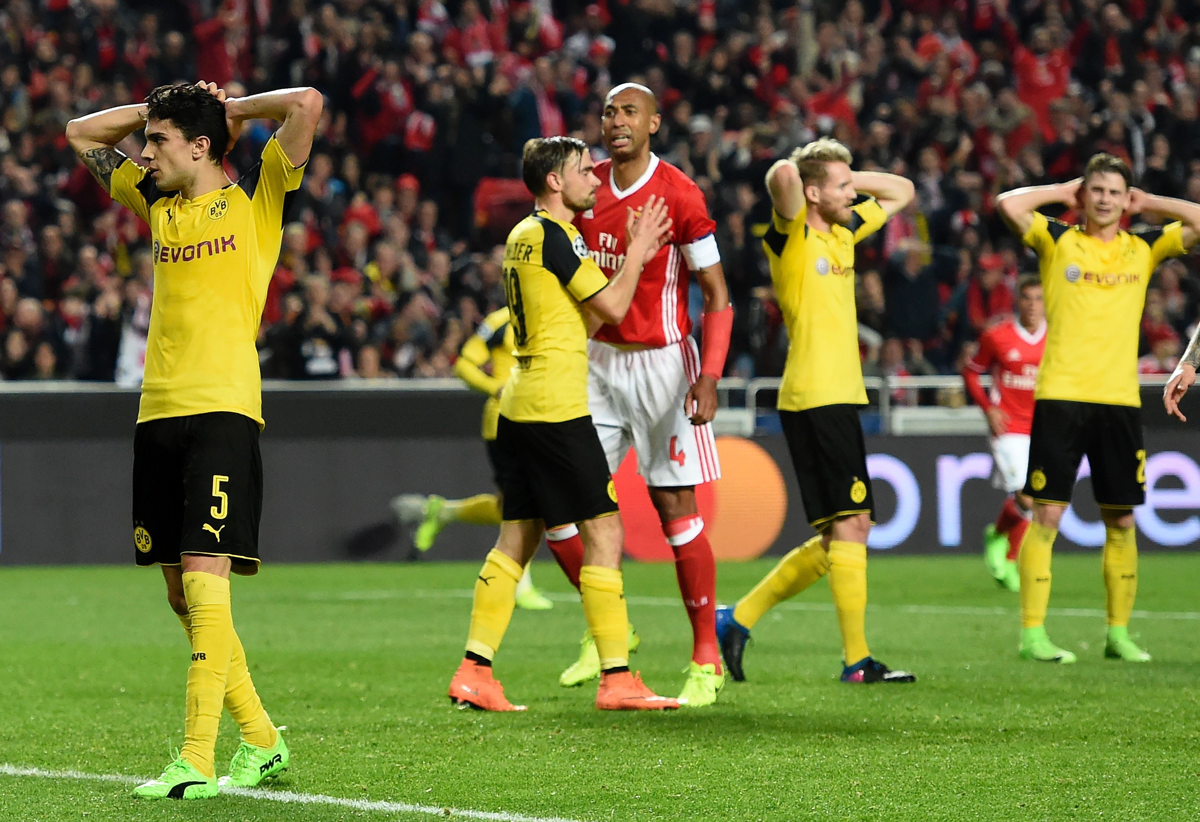 Tran Benfica vs Dortmund anh 7