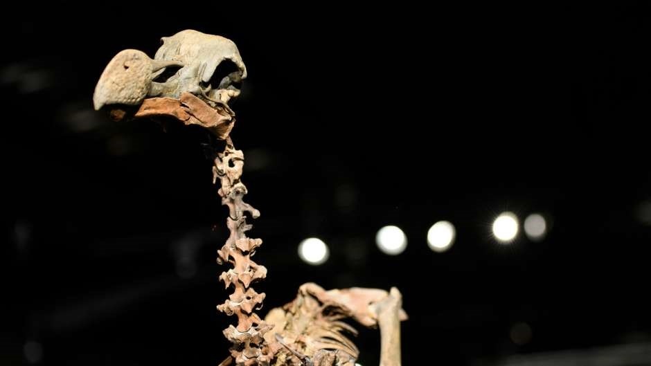 Rooney sang Trung Quoc anh 7