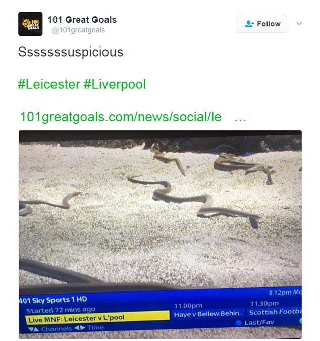 tran Leicester vs Liverpool anh 2