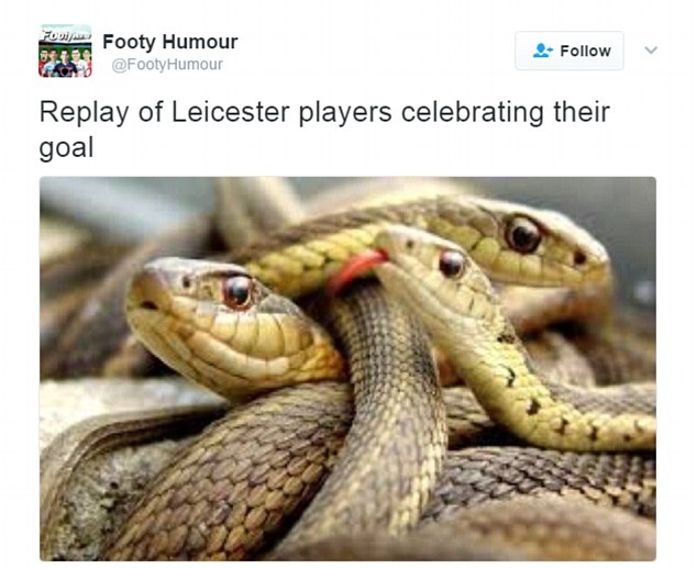 tran Leicester vs Liverpool anh 1