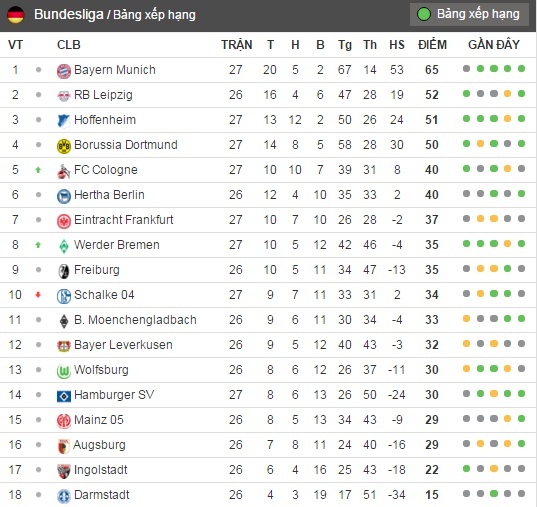 Tran Hoffenheim vs Bayern anh 9