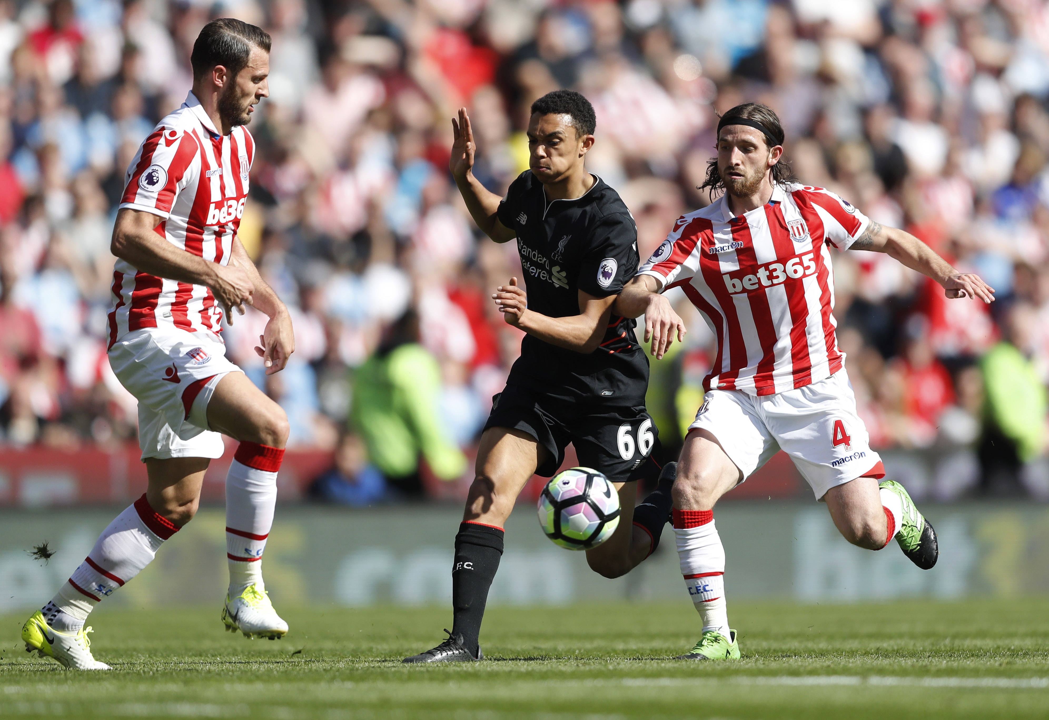 Tran Stoke City vs Liverpool anh 3