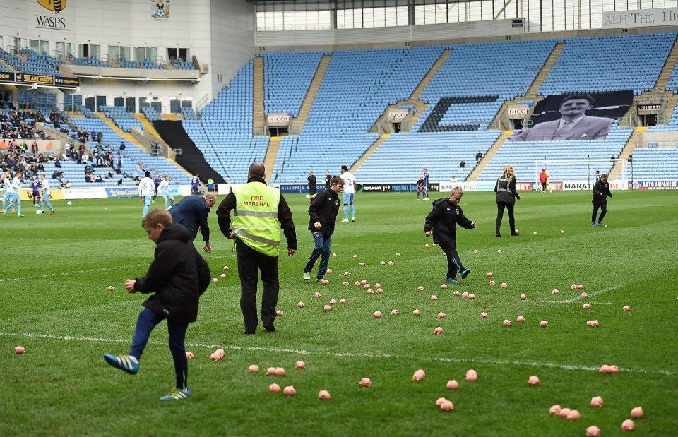 CĐV ném lợn màu hồng xuống sân ảnh 2 CDV nem lon mau hong xuong san anh 2