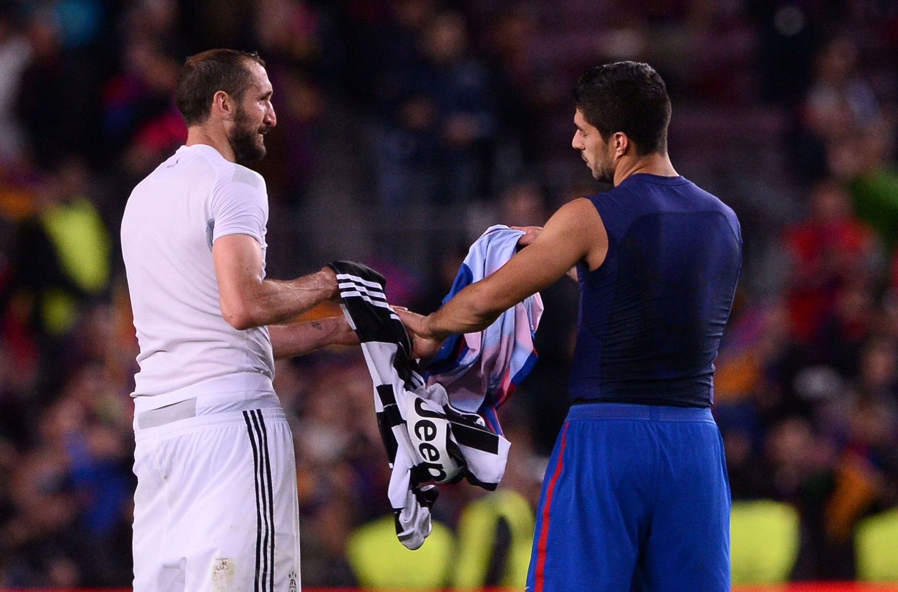 Gat het an oan, Suarez doi ao voi thac si Chiellini hinh anh