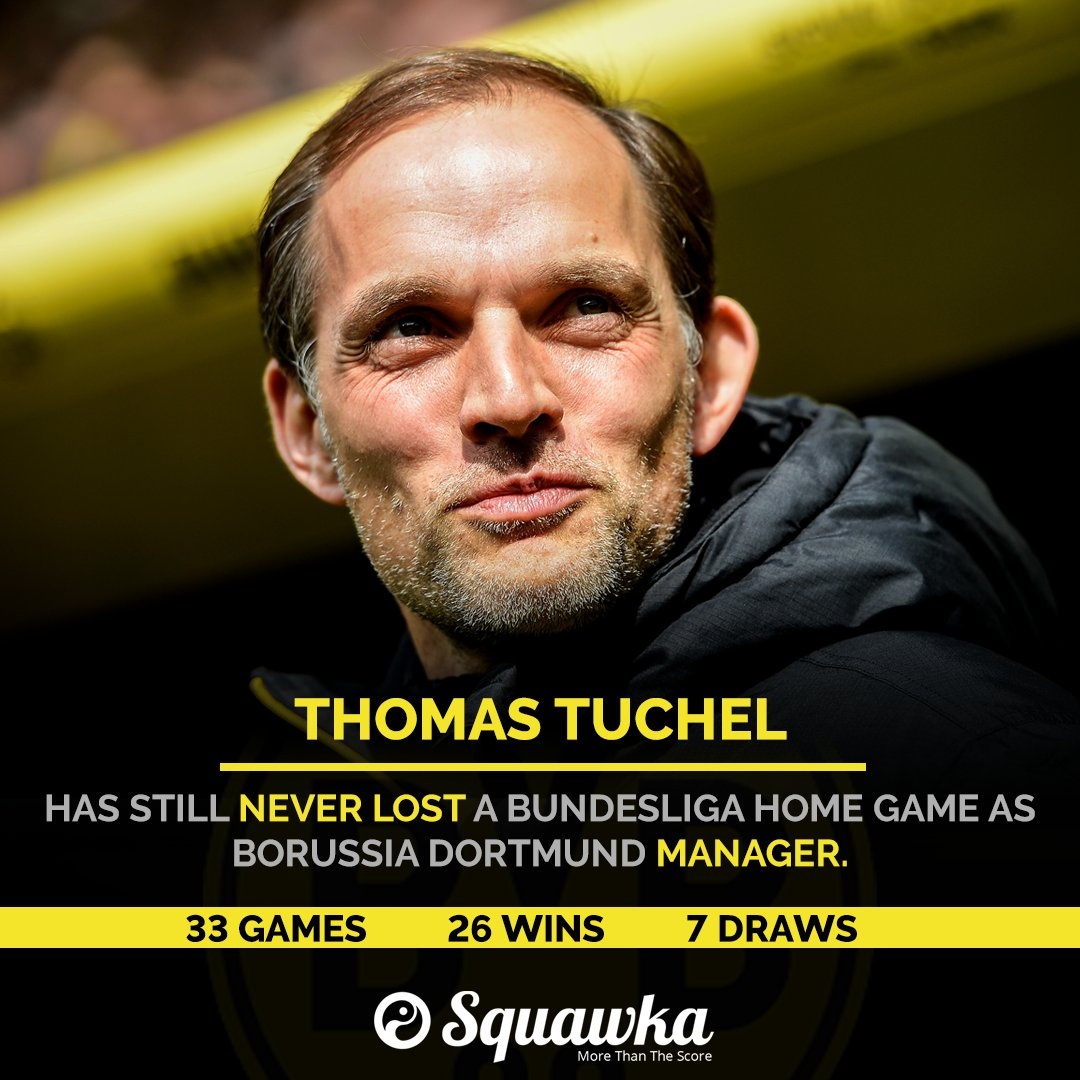 tran Dortmund vs Hoffenheim anh 11