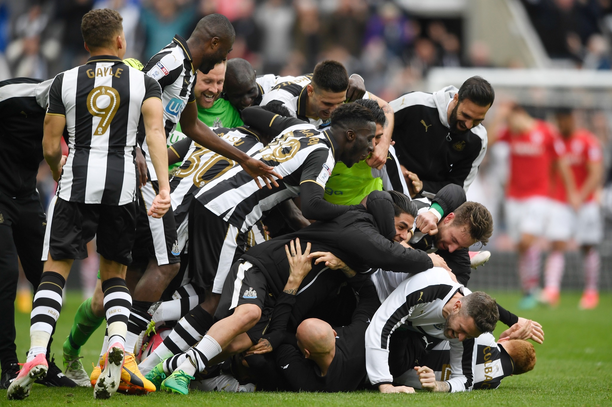 Newcastle vô địch Championship ảnh 1 Newcastle vo dich Championship anh 1