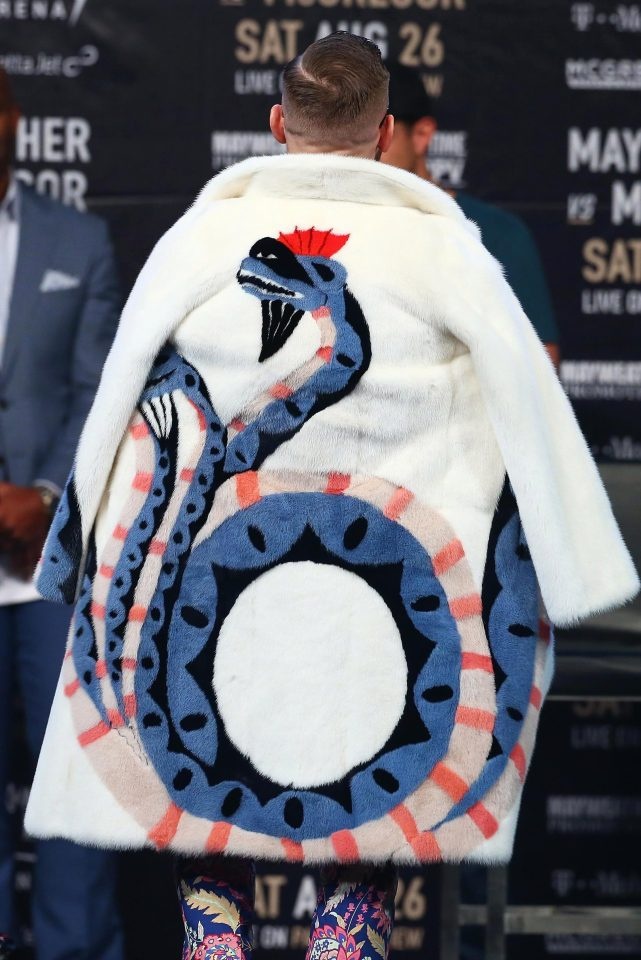 Mayweather vs McGregor anh 3