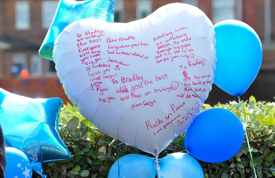 Bradley Lowery qua doi anh 17