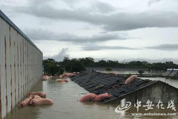 SVD Trung Quoc bien thanh be boi anh 6