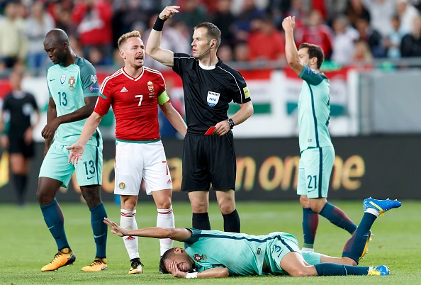 tran Hungary vs Bo Dao Nha anh 2