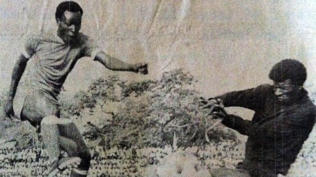 13 cay san ban vi dai nhat DTQG anh 4