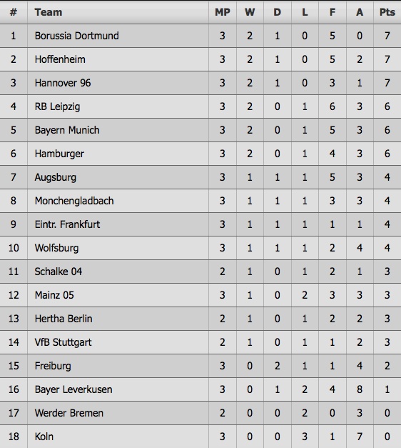 tran Hoffeinhem vs Bayern anh 10