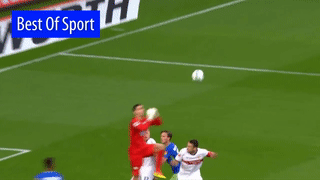 Thu quan Stuttgart gay mui, vo hoc mat sau va cham voi thu mon hinh anh