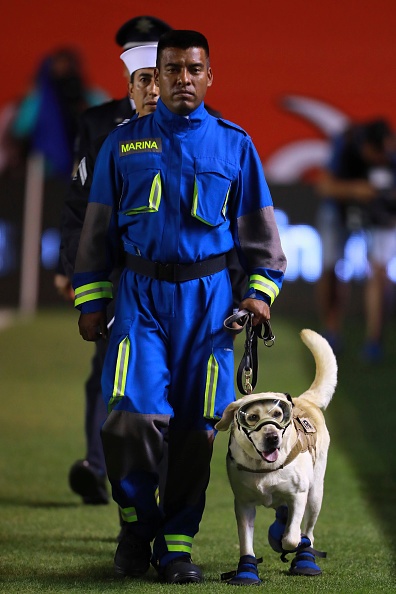 vong loai World Cup 2018 anh 3