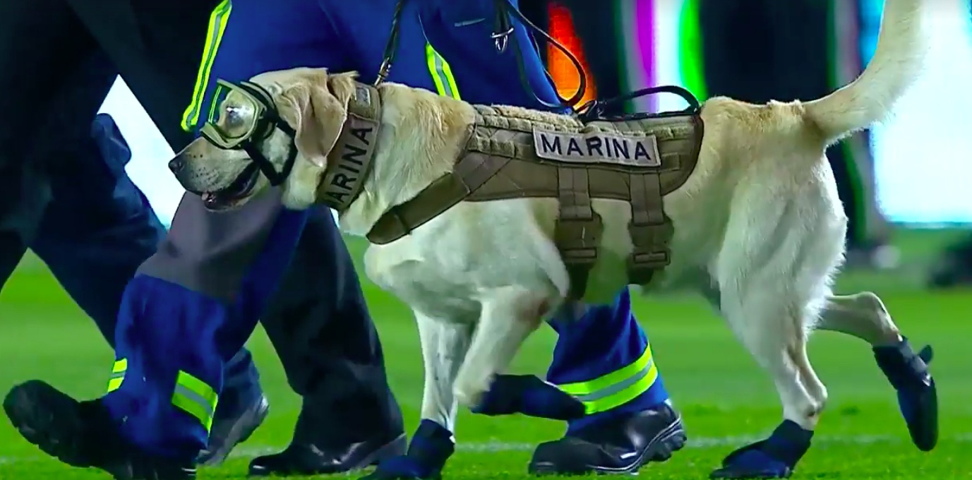 vong loai World Cup 2018 anh 2