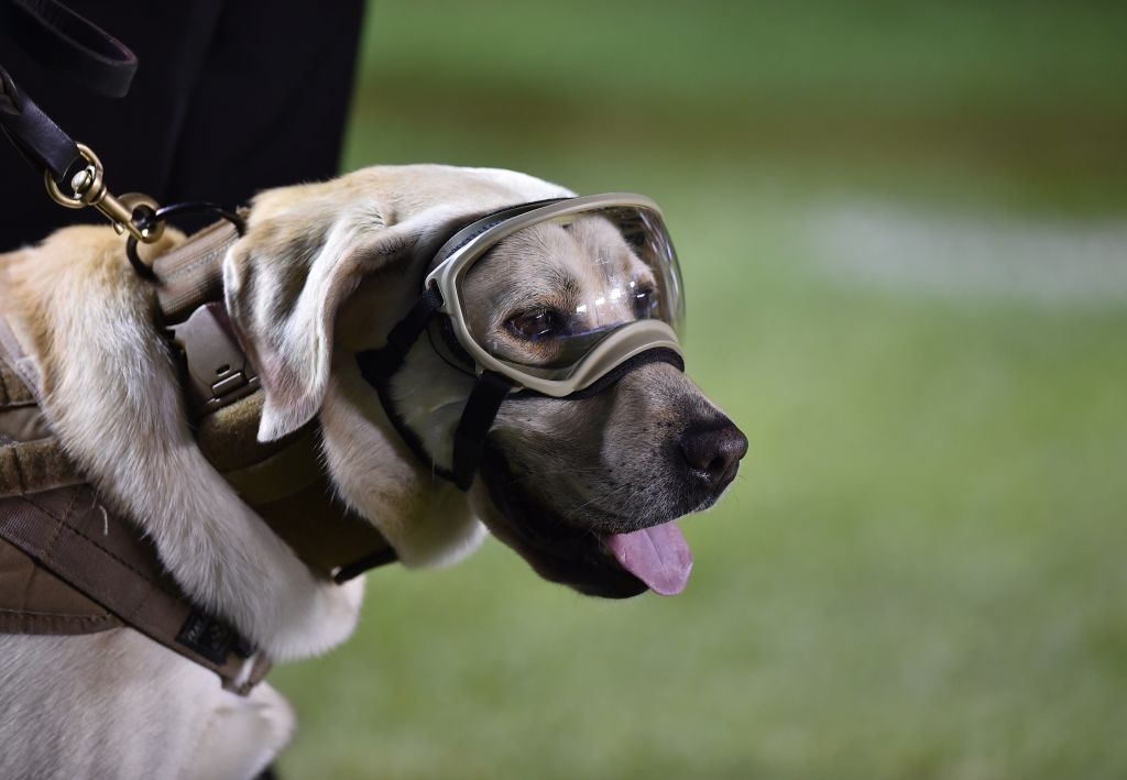 vong loai World Cup 2018 anh 5