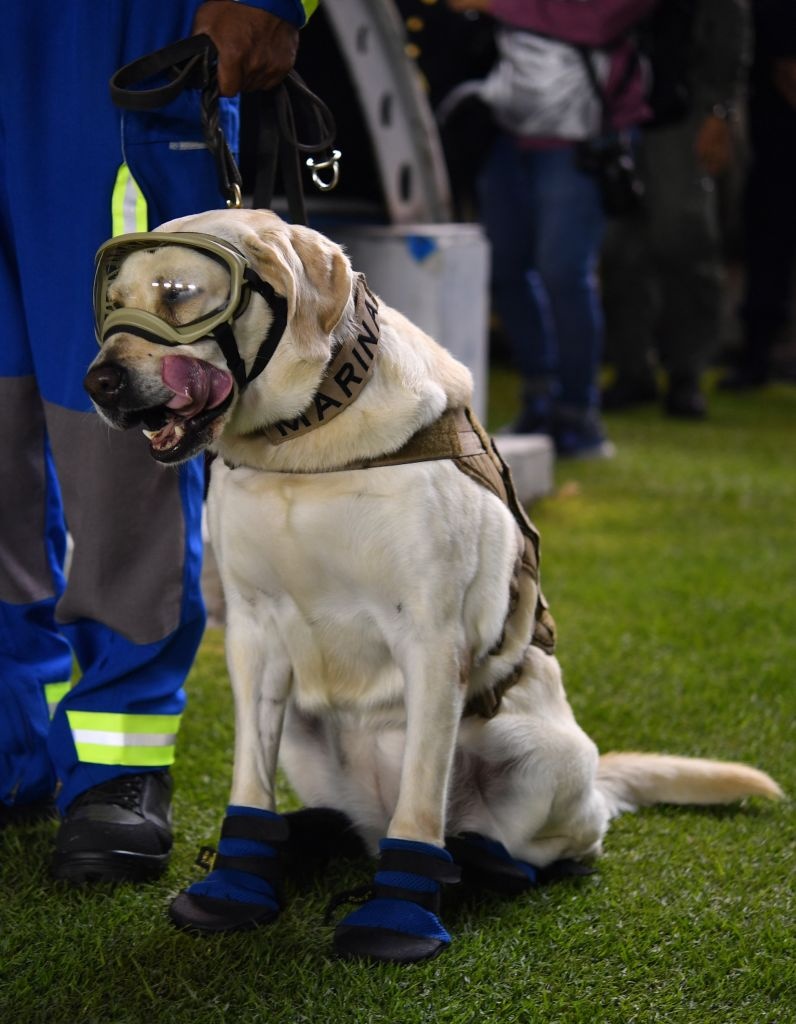 vong loai World Cup 2018 anh 4