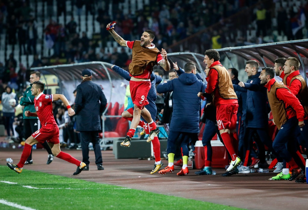 Serbia gianh ve du World Cup anh 5