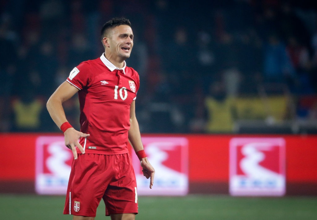 Serbia gianh ve du World Cup anh 8