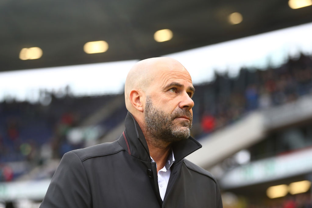 tran Hannover 2-4 Dortmund anh 1