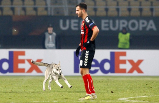 xe dien lao vao san anh 1