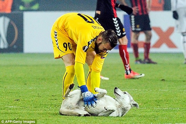 xe dien lao vao san anh 2