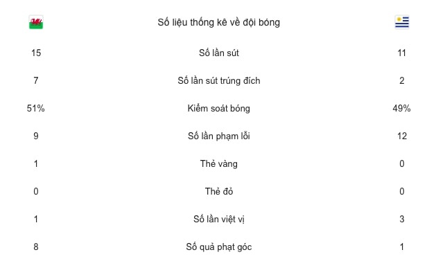 tran Wales vs Uruguay anh 10