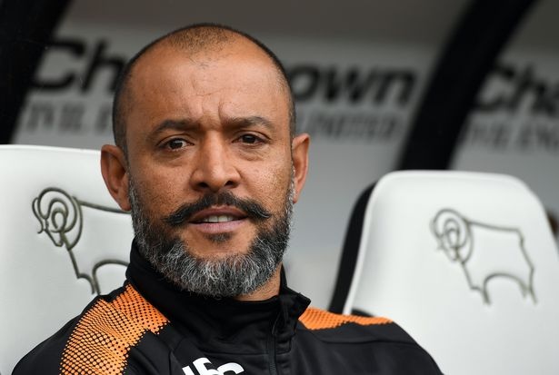 Wolverhampton len hang anh 1