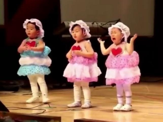 Video ghi lai canh co be mau giao vua meu mao vua mua hinh anh