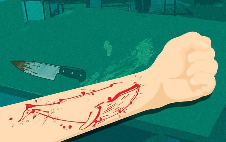 Trao luu chet choc 'Ca voi xanh' co gi hap dan gioi tre den the? hinh anh