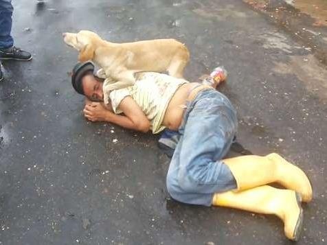 Chu cho dang yeu quyet bao ve nguoi chu say ruou hinh anh