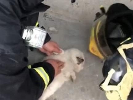 Linh cuu hoa Trung Quoc quyet tam giup do mot chu cho hinh anh