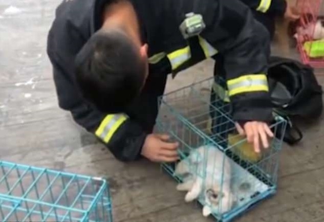 hành động ấm áp của lính cứu hỏa khiến dân mạng khâm phục ảnh 5 hanh dong am ap cua linh cuu hoa khien dan mang kham phuc anh 5