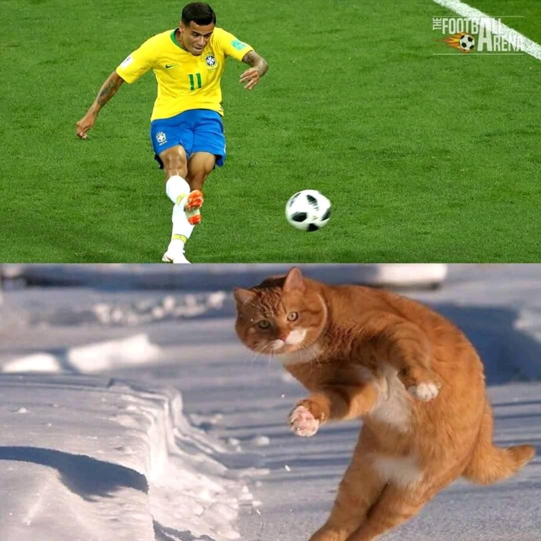 anh che World Cup anh 5