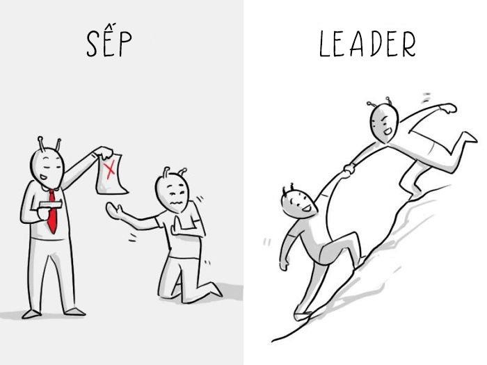 Su khac biet giua 'sep' va 'leader' hinh anh