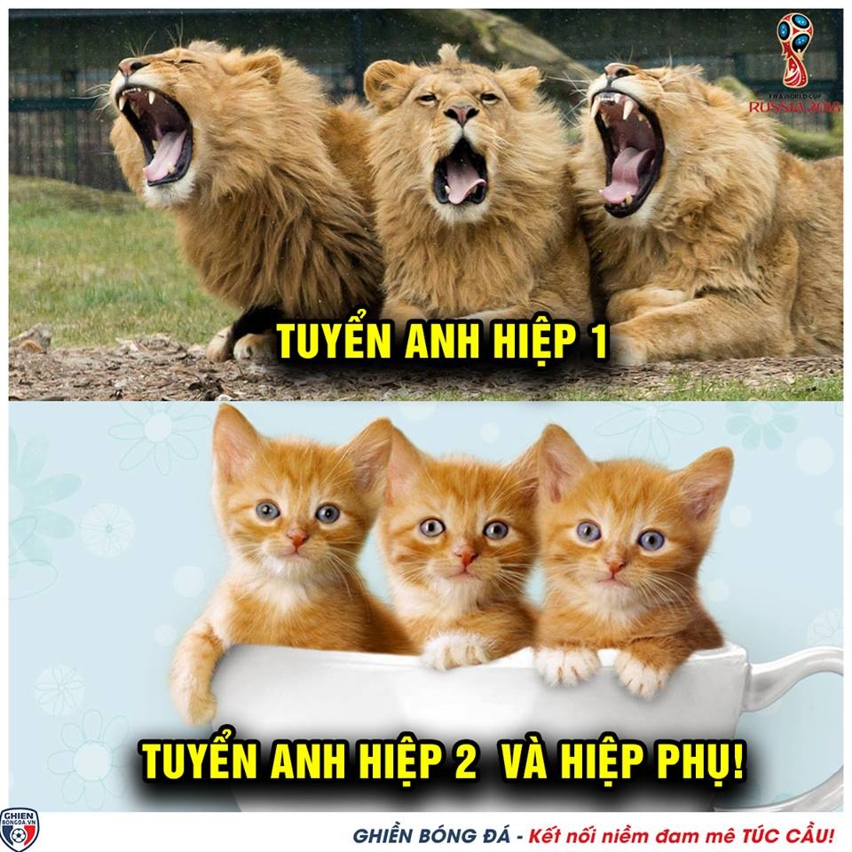 anh che tran Anh - Croatia anh 1