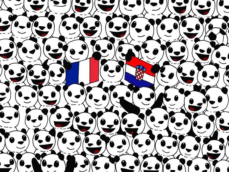 Do ban tim thay qua bong tran chung ket World Cup giua bay gau truc hinh anh