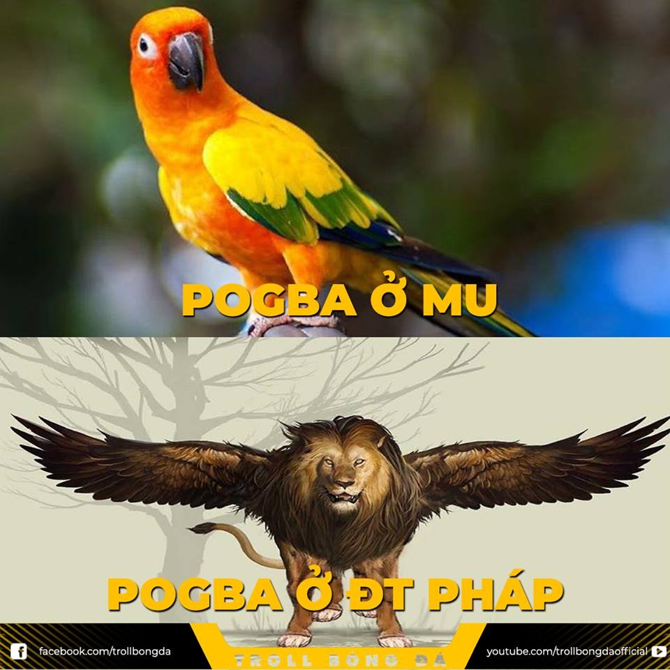 anh che tran Phap gap Croatia anh 10