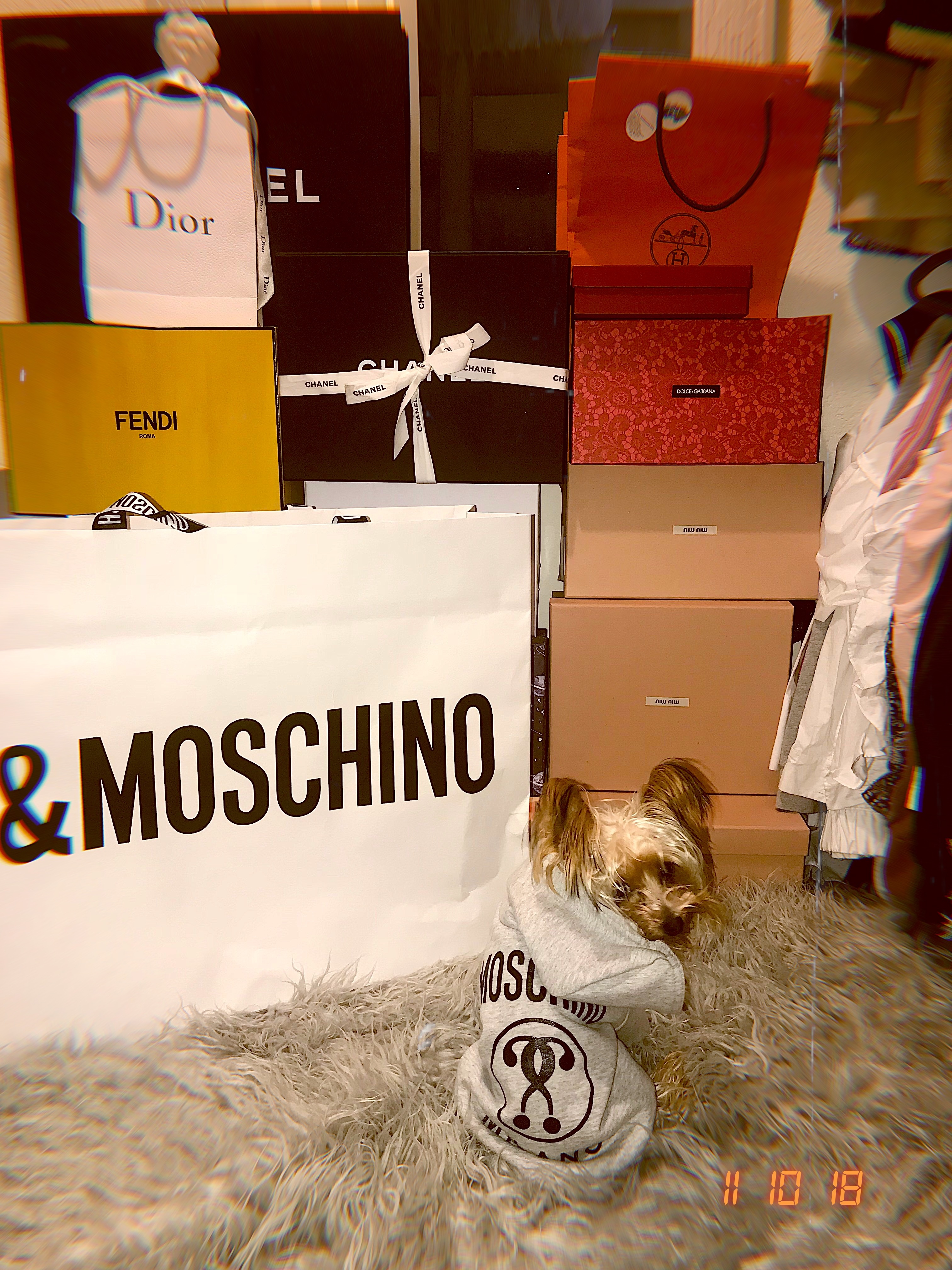 nu dao dien 9X xinh dep giau co anh 18