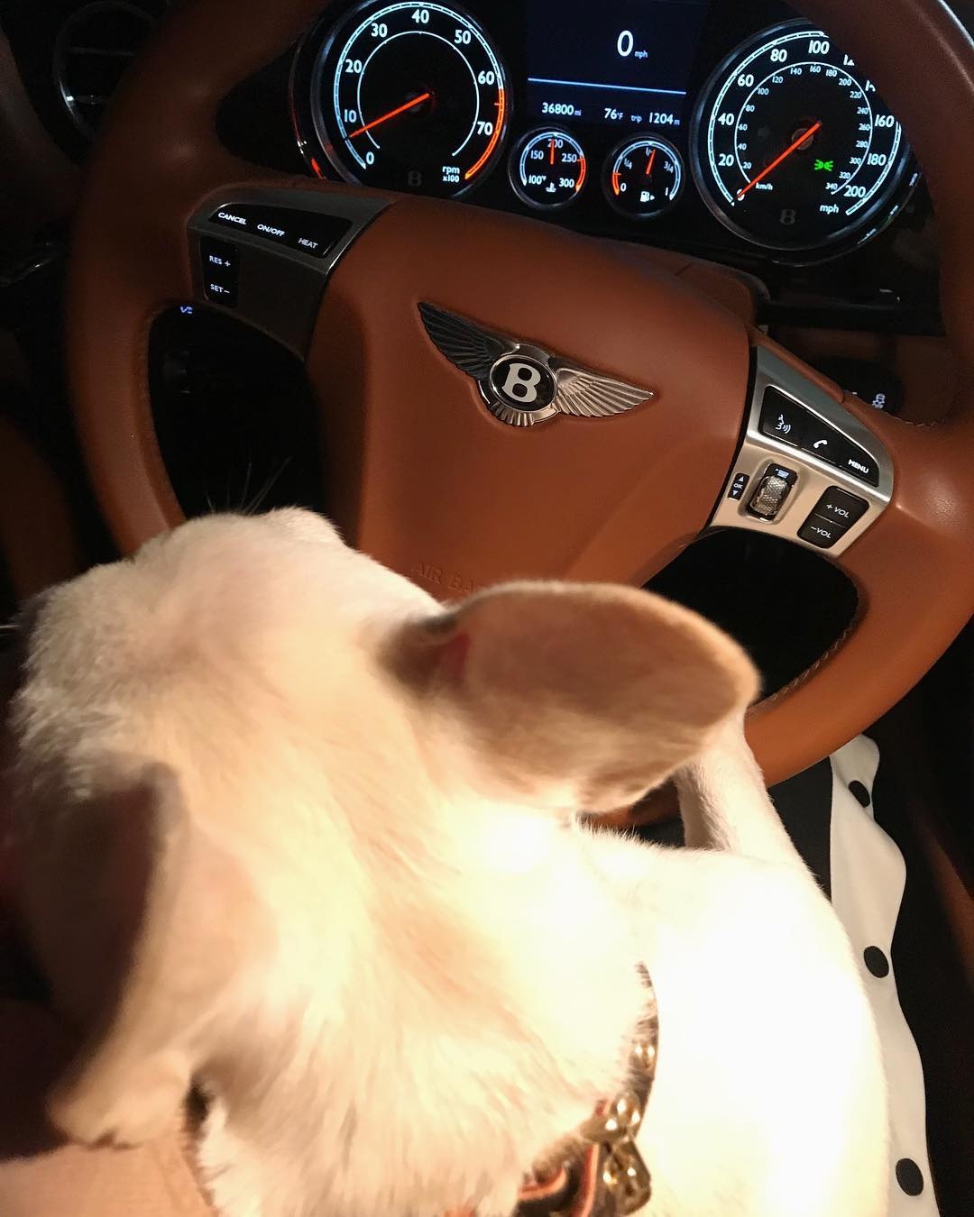 tieu thu hoi con nha giau Chau A anh 17