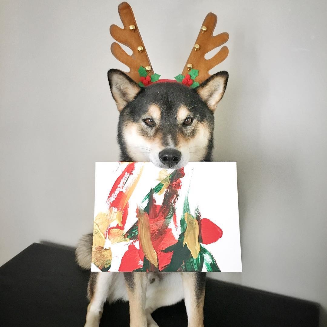 chu cho ve tranh kiem tien anh 9