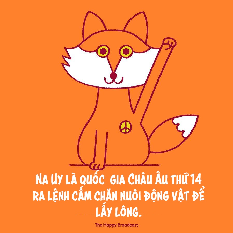 những điều tốt đẹp đã xảy ra trong năm 2018 ảnh 1 nhung dieu tot dep da xay ra trong nam 2018 anh 1