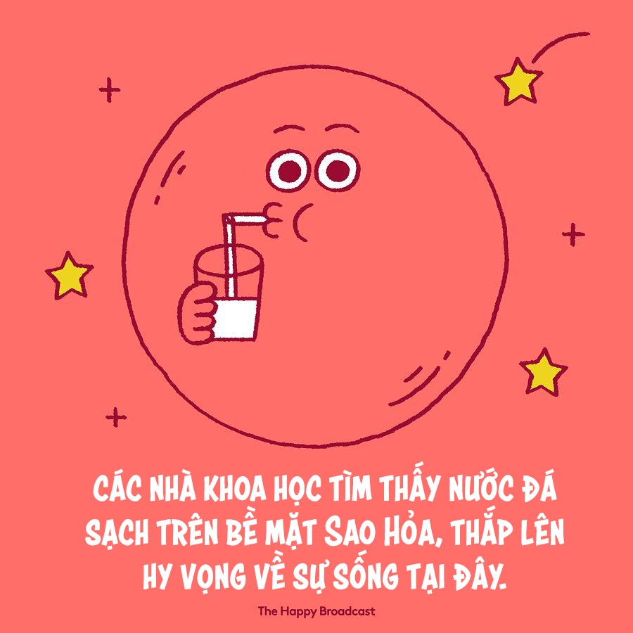 những điều tốt đẹp đã xảy ra trong năm 2018 ảnh 4 nhung dieu tot dep da xay ra trong nam 2018 anh 4