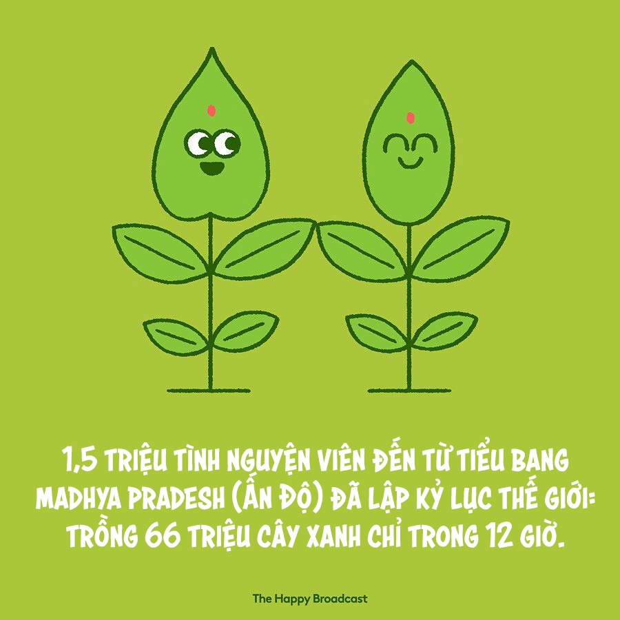 những điều tốt đẹp đã xảy ra trong năm 2018 ảnh 8 nhung dieu tot dep da xay ra trong nam 2018 anh 8