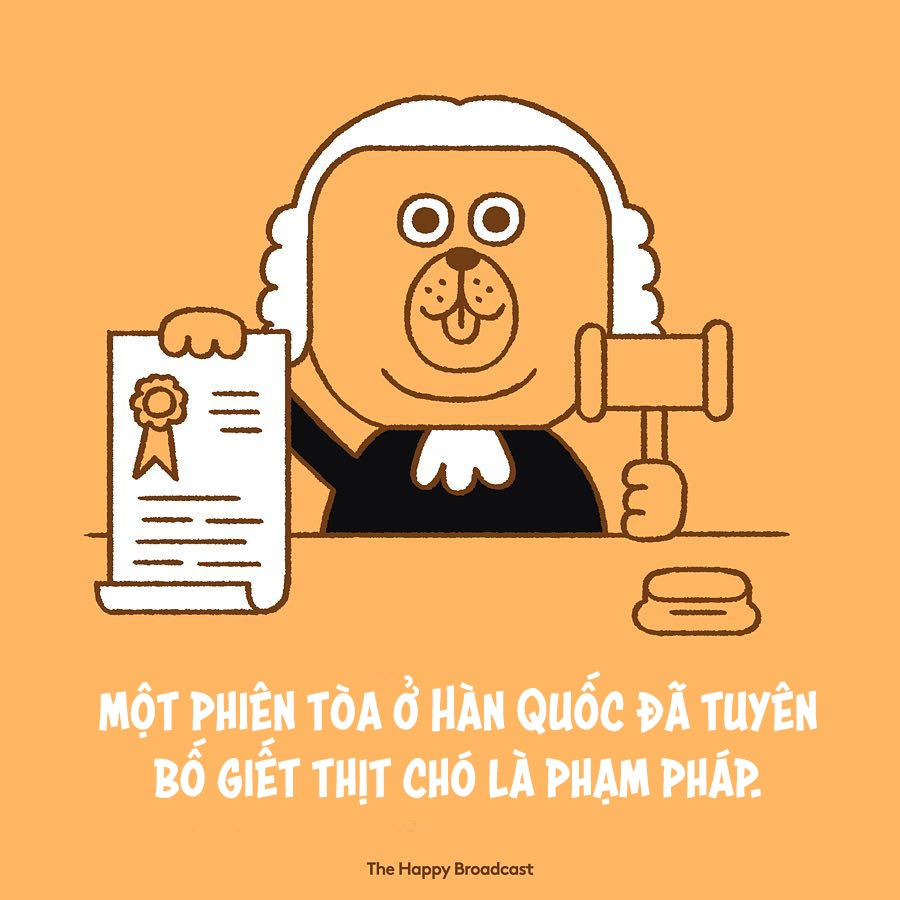 những điều tốt đẹp đã xảy ra trong năm 2018 ảnh 12 nhung dieu tot dep da xay ra trong nam 2018 anh 12