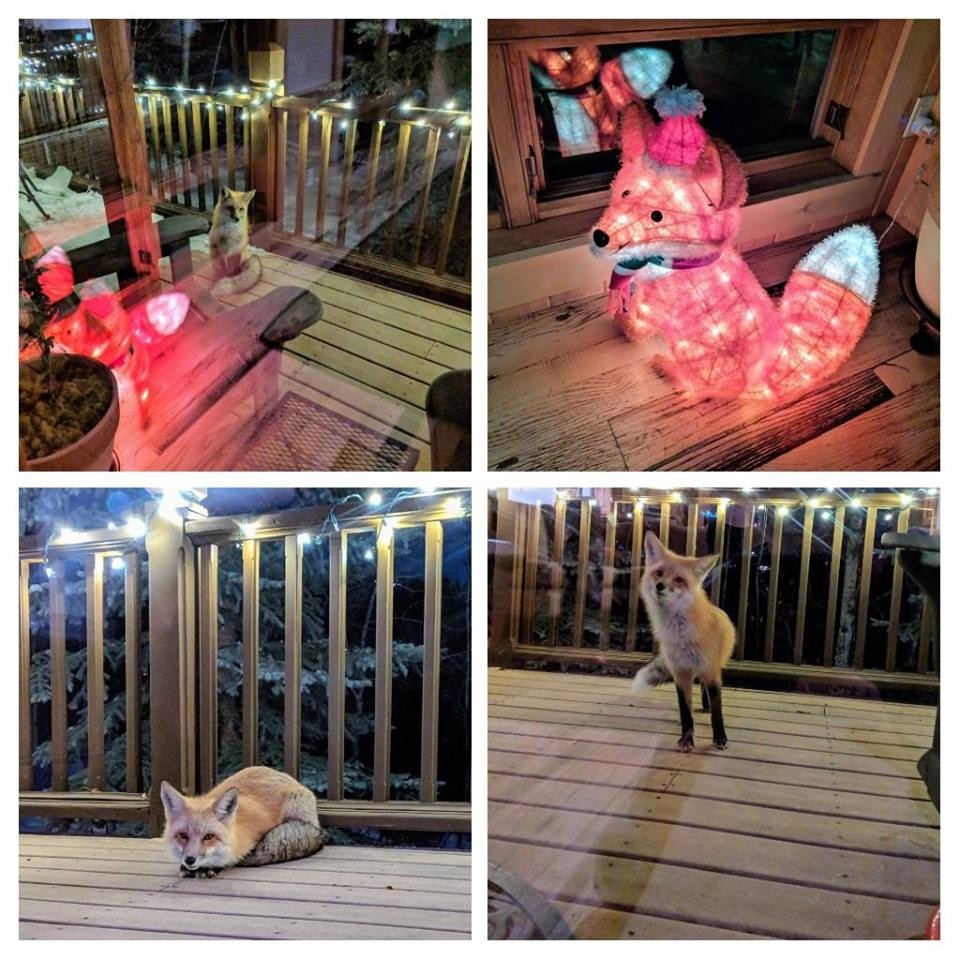 nhung buc anh cam dong trong nam 2018 anh 7