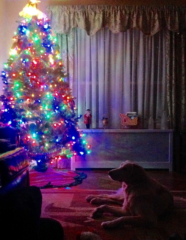 nhung buc anh cam dong trong nam 2018 anh 2